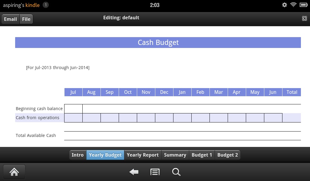 Cash Budget截图4