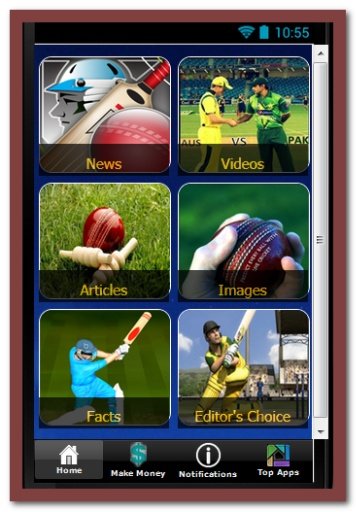 Cricket Score Updates截图1