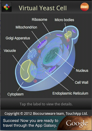 Virtual Yeast Cell截图1