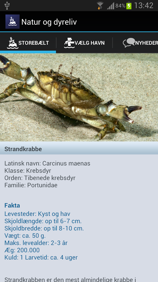 Maritimt knudepunkt Stor...截图2