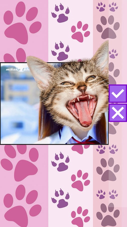 Cat Head Photo Booth截图3