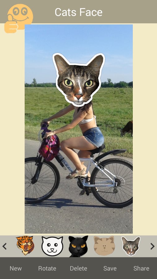 Cats Face Sticker Cam截图3