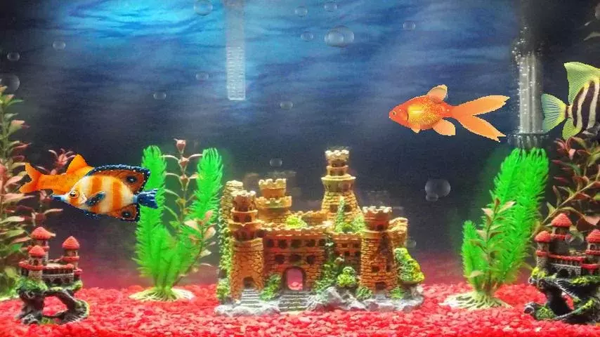 Aquarium Fish Tank截图2