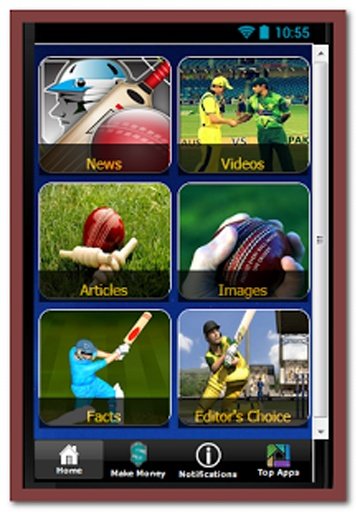 Cricket Score Updates截图4