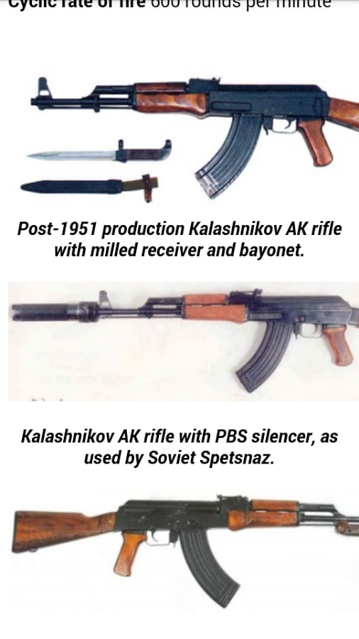 Russian assault weapons截图5