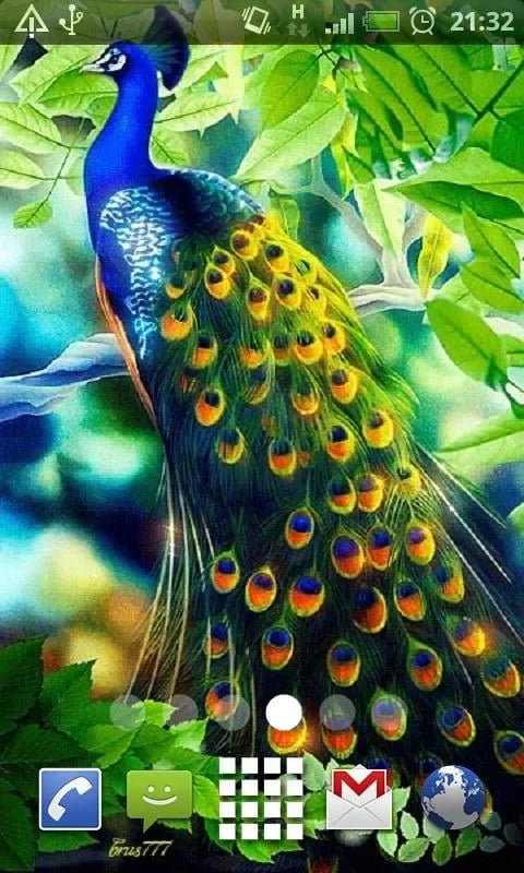 Beautiful Peacock Live W...截图1