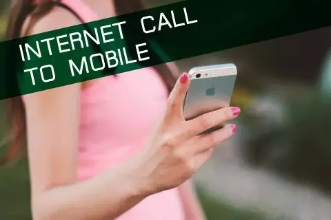 Internet Call to Mobile截图2