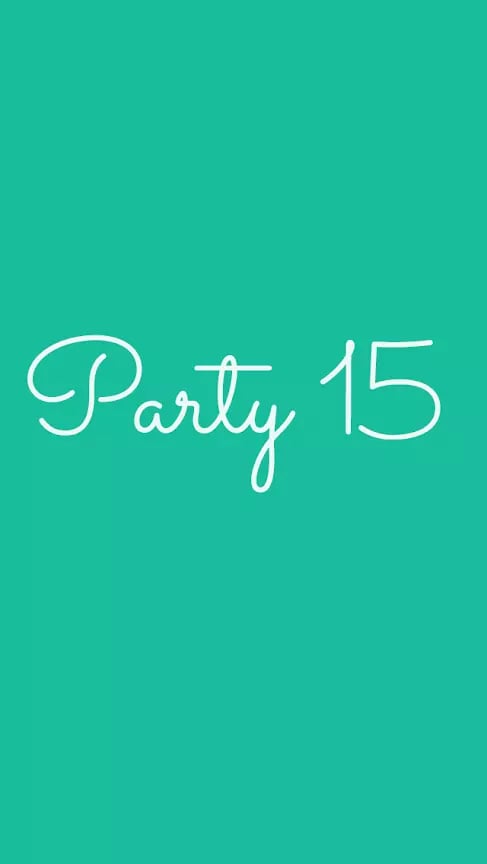 Party 15截图1