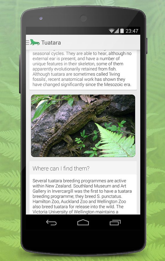 Reptiles of New Zealand Free截图5