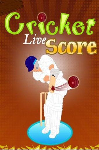 Cricket Score Updates截图2