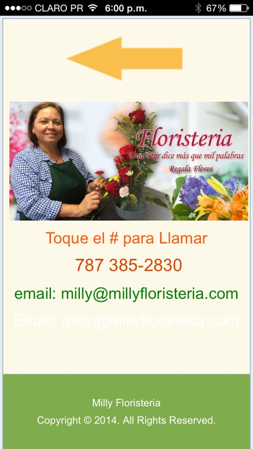 Milly Floristeria Coroza...截图1