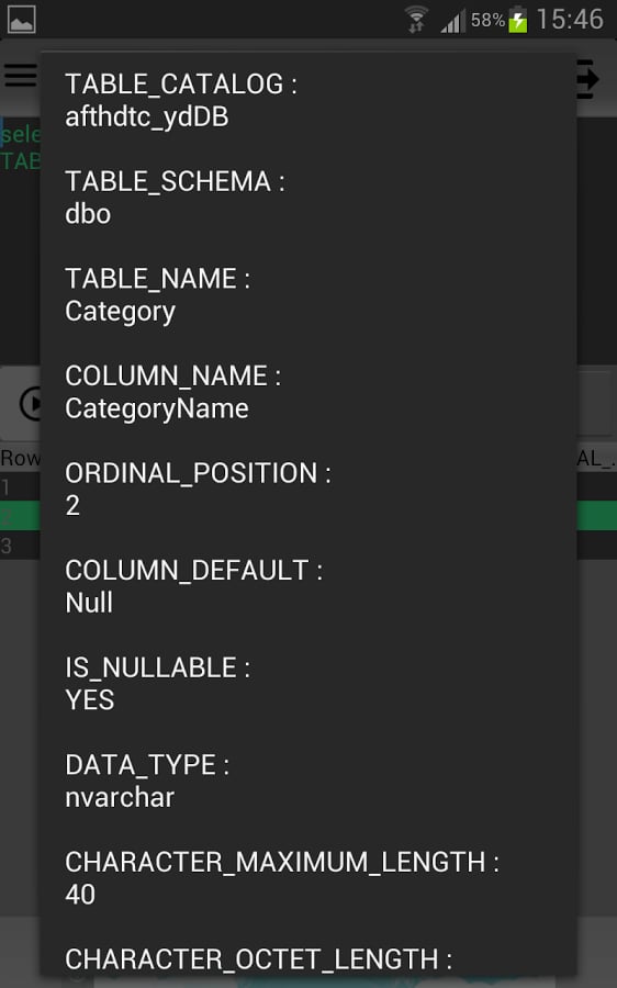 Mobile SQL Client截图3