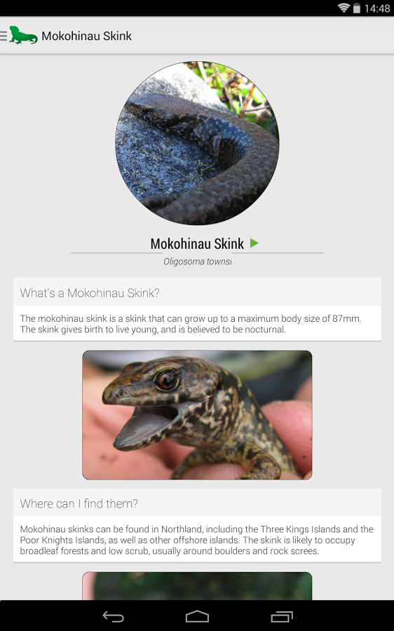 Reptiles of New Zealand Free截图1