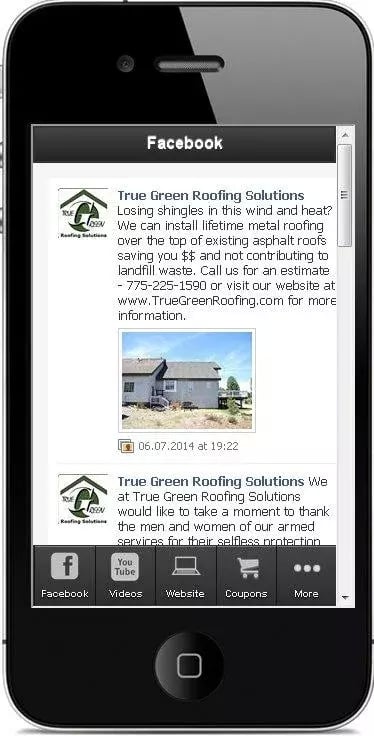 True Green Roofing截图3