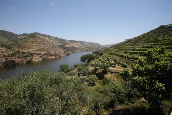 Douro DOC截图1