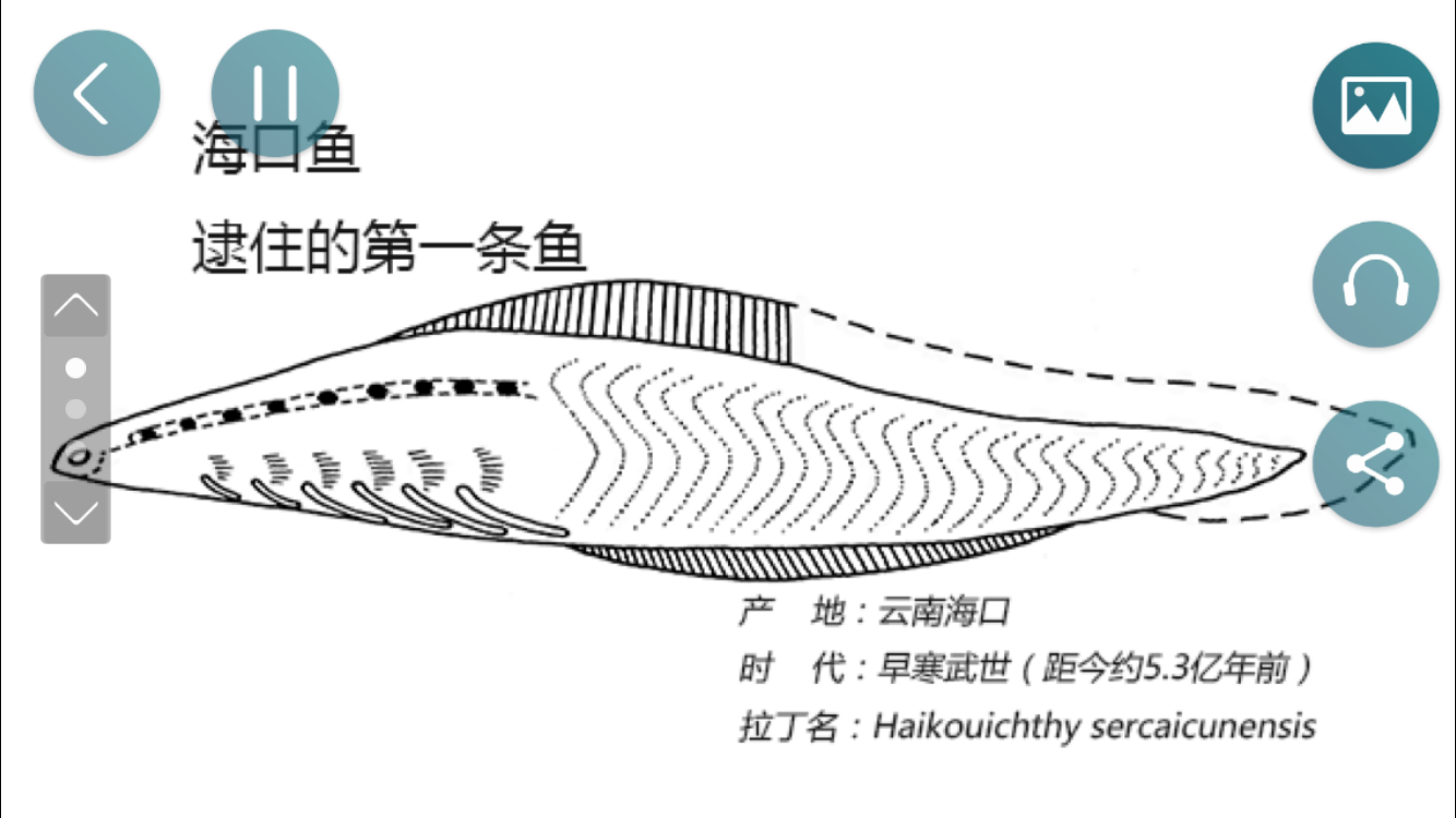 掌上中国古动物馆截图4