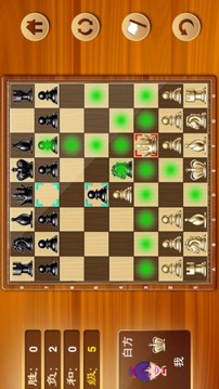 国际象棋九段 Chess Online截图