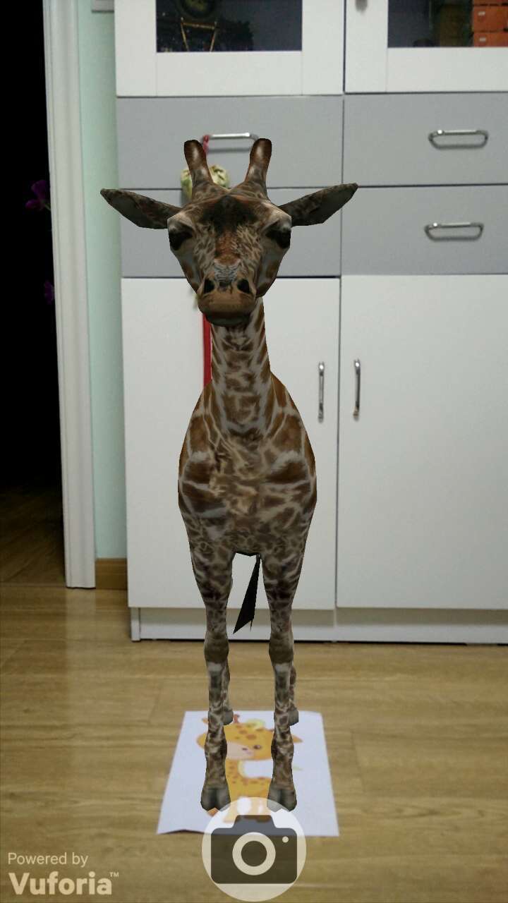 Giraffe_Camera截图5