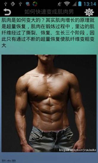 肌肉男训练营截图1