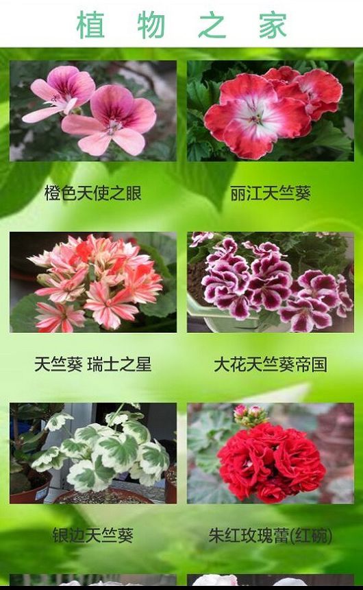 植物之家截图2