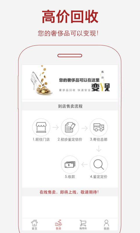 托普兰截图5