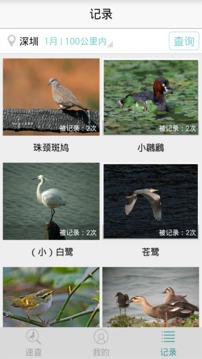 中国野鸟速查截图