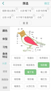 中国野鸟速查截图