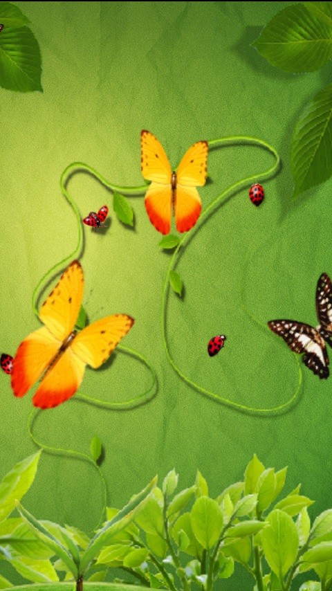 鲜花和蝴蝶截图4