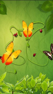 鲜花和蝴蝶截图