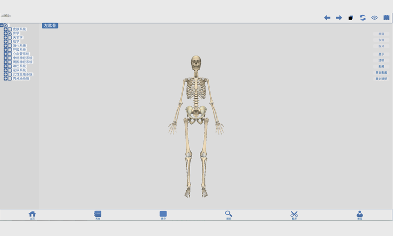 人体系统解剖截图2