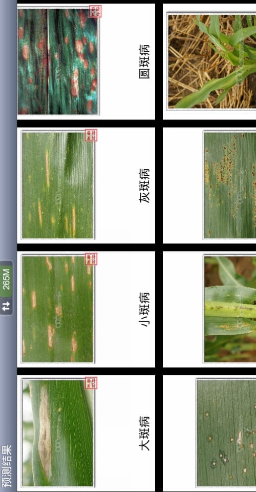 玉米病虫草害截图3