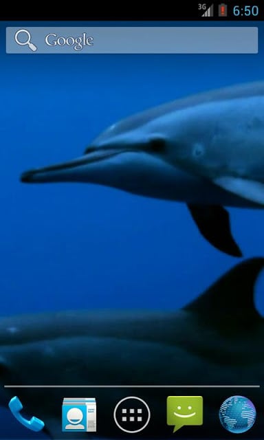 Wild Dolphins HD截图2