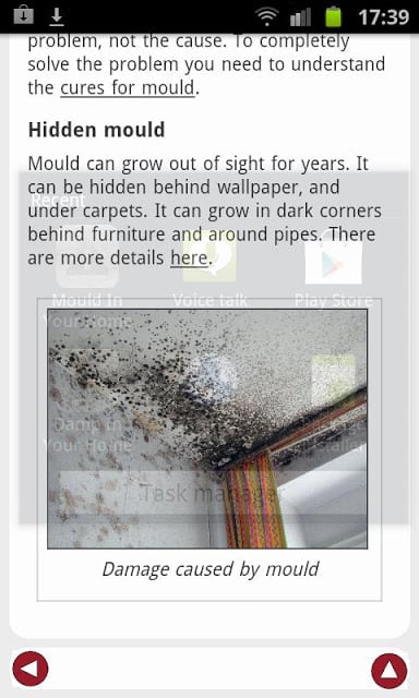 Mould In Your Home截图2