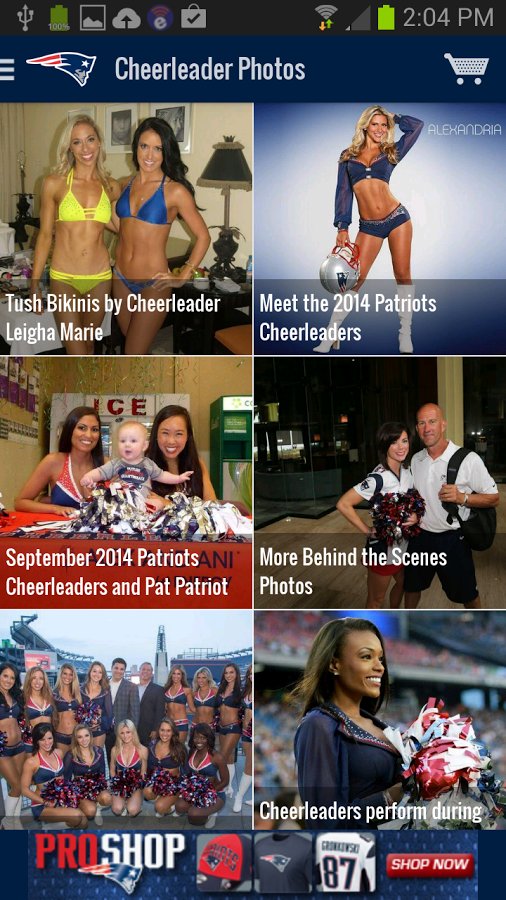 New England Patriots 2012截图8