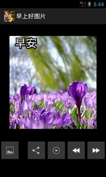 2_6c668aaa317b4f368de48f94ae3b08d7_234x360.jpg