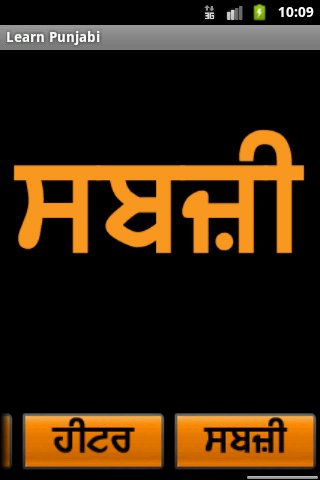 Learn Punjabi截图5