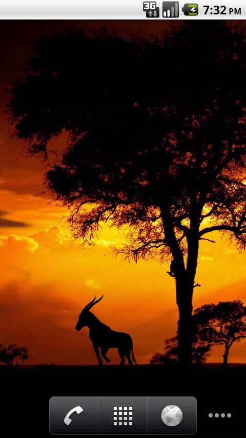 African Sunset Live Wallpaper截图3