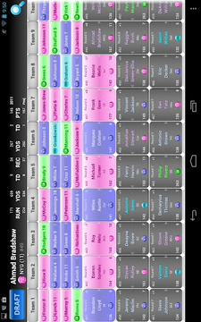 Fantasy Football Draft Demo截图