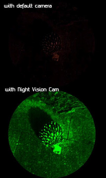 Night Vision Cam Pro截图