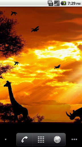 African Sunset Live Wallpaper截图4