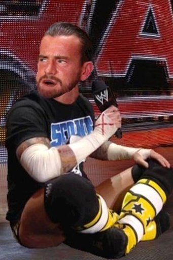 CM Punk Promo Cutter (WWE)截图3