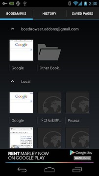 Galaxy Browser for ICS截图