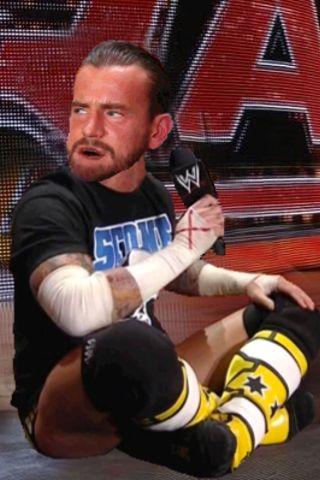 CM Punk Promo Cutter (WWE)截图2