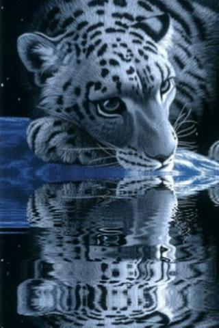 White Tiger Lick Azure Water截图1