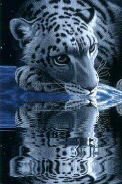 White Tiger Lick Azure Water截图