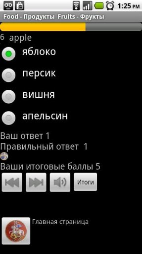 Russian Tutor Ru, Tесты截图4