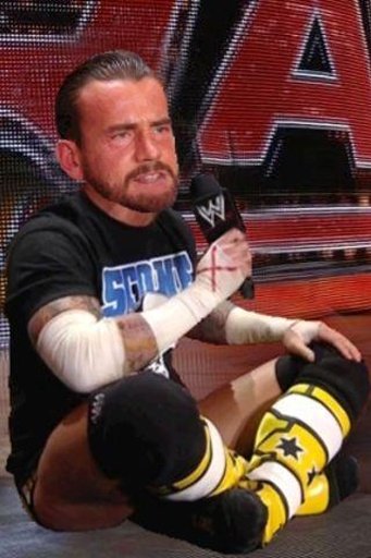 CM Punk Promo Cutter (WWE)截图4