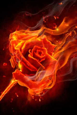 Rose Of Fires Live Wallpaper截图1