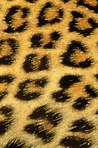 Glitter Leopard Live Wallpaper截图2