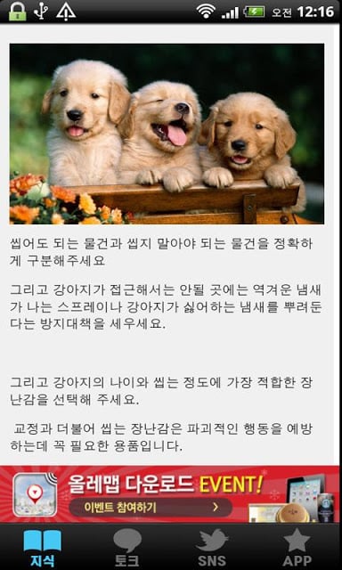 [토크] 애견관리截图6